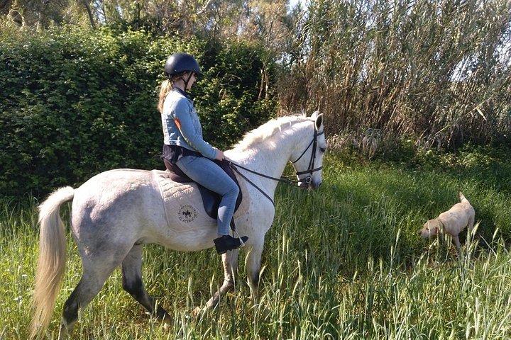 グラナダとシエラネバダの乗馬ツアー