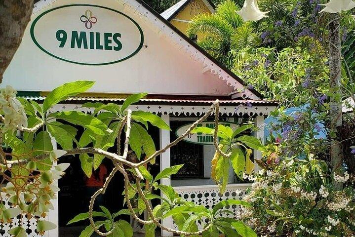 モンテゴ ベイからのボブ マーリー ナイン マイルのプライベート ツアー
