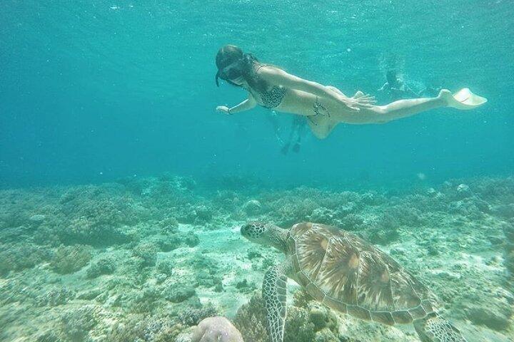 ギリ島シュノーケリング半日旅行Gili Trawangan発