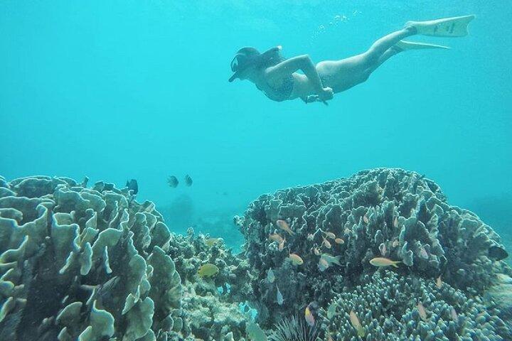 ギリ島シュノーケリング半日旅行Gili Trawangan発