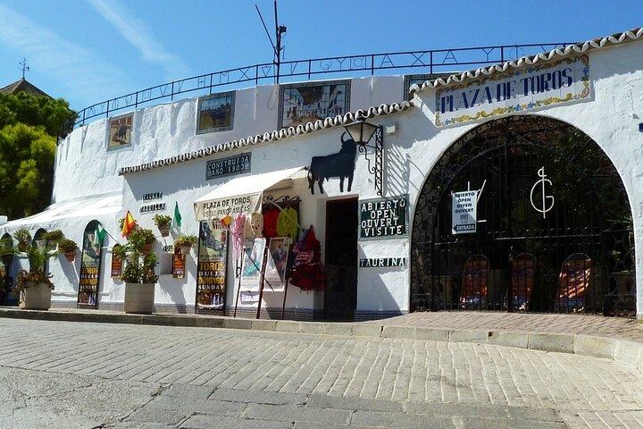 Mijas: Panoramisk bytur i en elektrisk Tuk Tuk