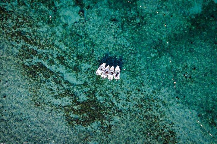 Tour della giungla e snorkeling a Punta Nizuc Reef, museo sottomarino