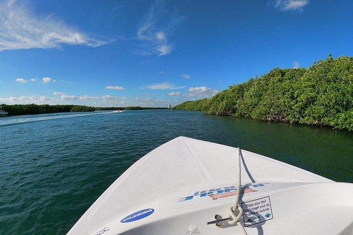 Mangrove and Lagoon Speed Boat Tour