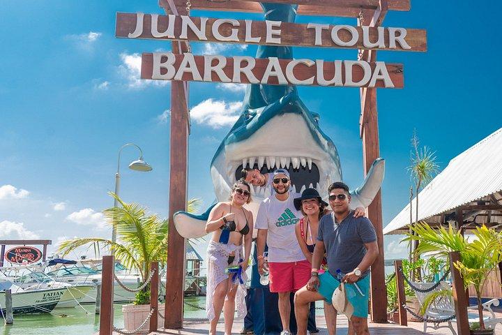 Mangrove and Lagoon Speed Boat Tour