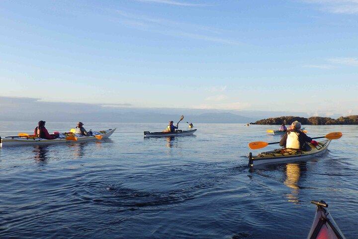 Tour in kayak di 4 ore intorno a Saysutshun/NewCastle Island a Nanaimo, BC