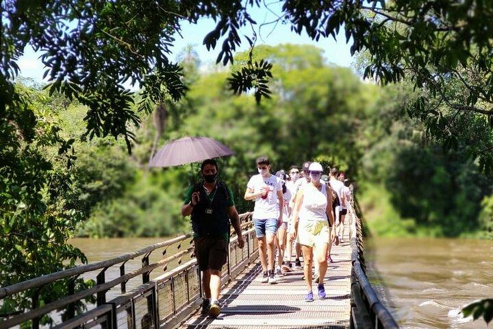 イグアスの滝への 1 日ツアー