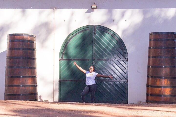 Tour de día completo por el cabo Agulhas