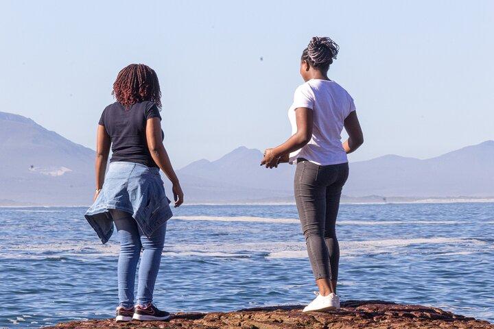 Tour de día completo por el cabo Agulhas