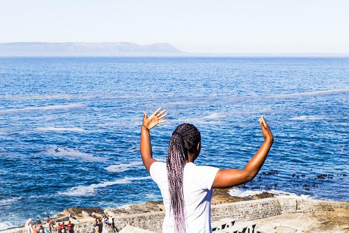 Tour de día completo por el cabo Agulhas