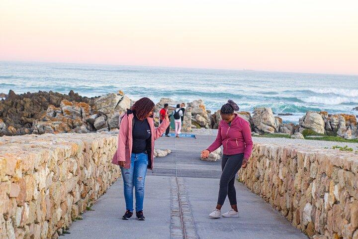 Tour de día completo por el cabo Agulhas