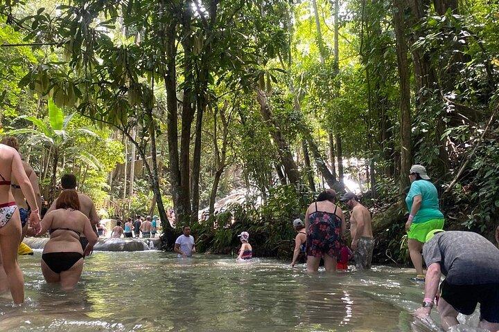 Dunns River Falls Private Day Tour