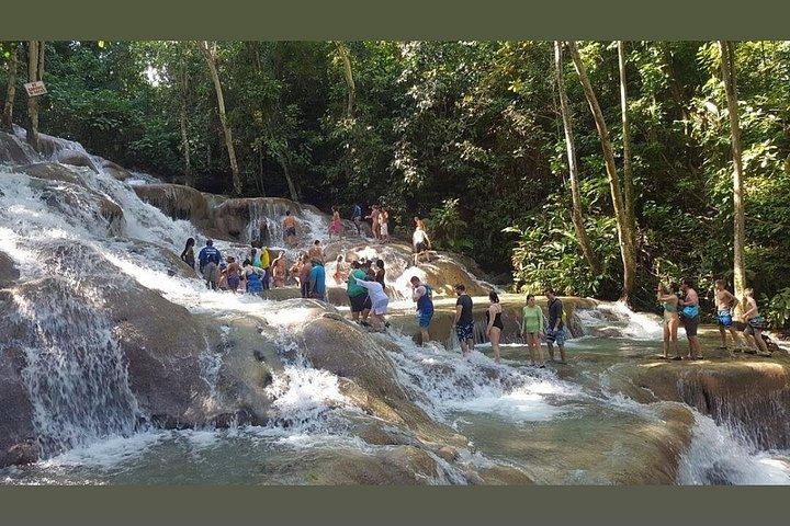 Dunns River Falls Private Day Tour