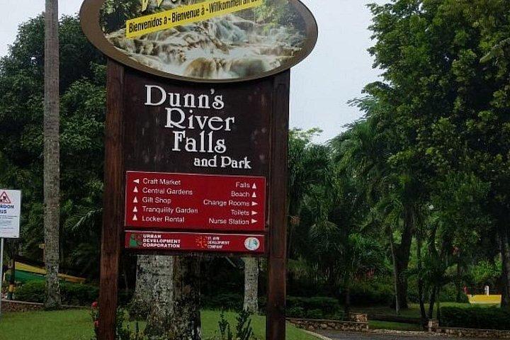 Dunns River Falls Private Day Tour