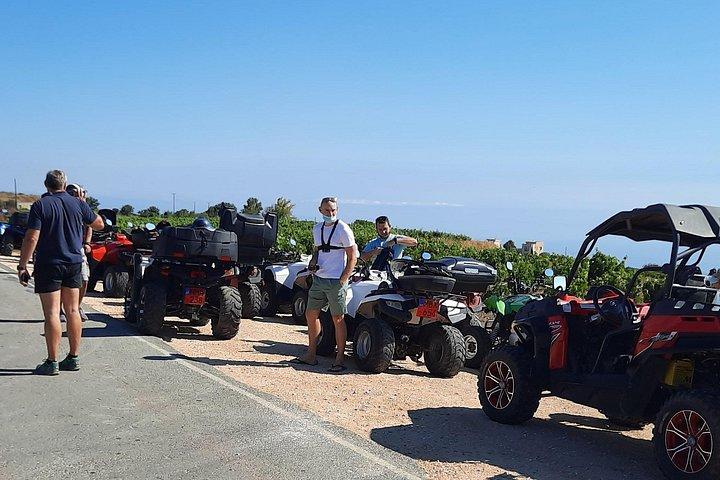 Quad & Buggy Tour para Lara Bay e Adonis Falls
