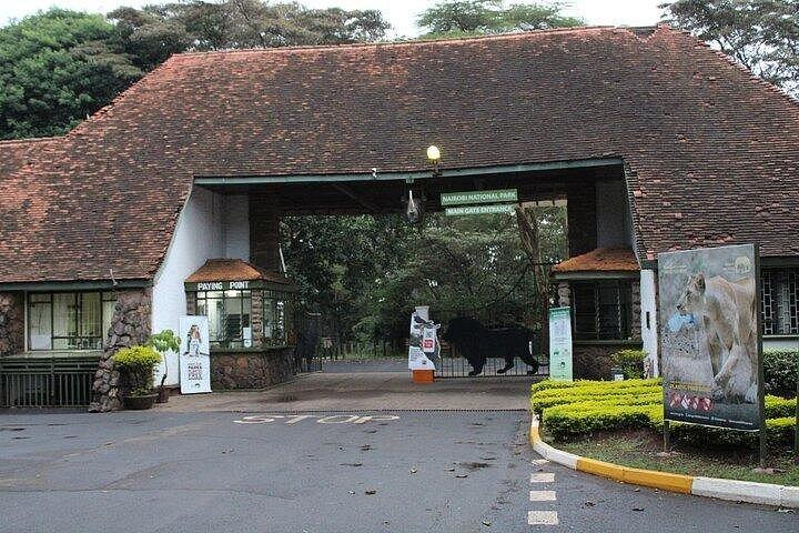 ナイロビ国立公園エレファント孤児院＆ジラフセンターツアー