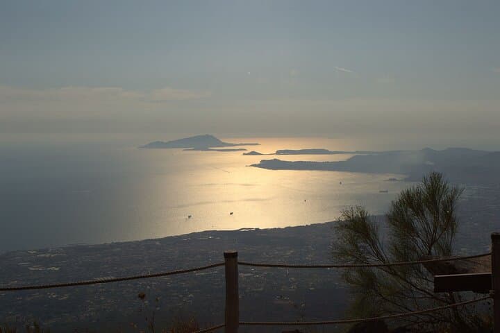 Wine Tasting on Mount Vesuvius with lunch