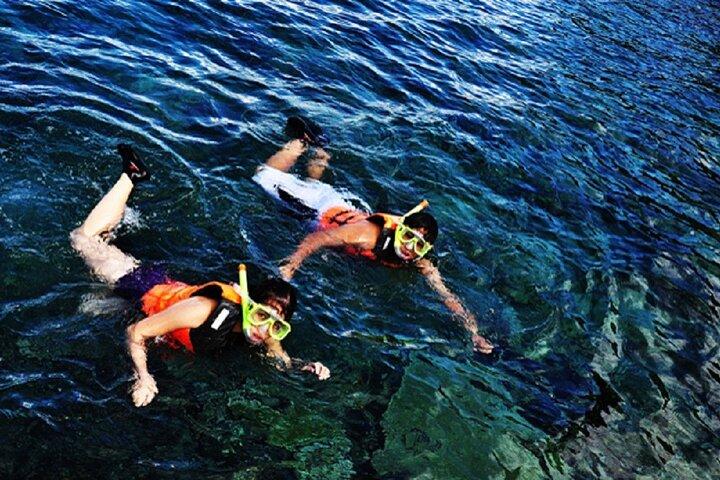 Dumaguete Apo Snorkling Tour