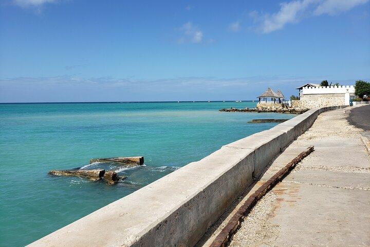 Montego Bay Private Highlights Tour met pick-up