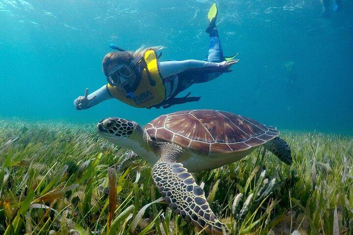 カンクン シュノーケリング アドベンチャー : 水中博物館、リーフ、難破船