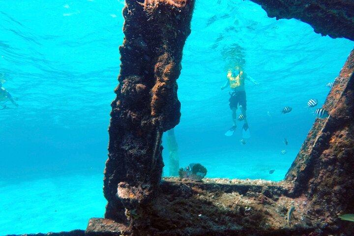 カンクン シュノーケリング アドベンチャー : 水中博物館、リーフ、難破船