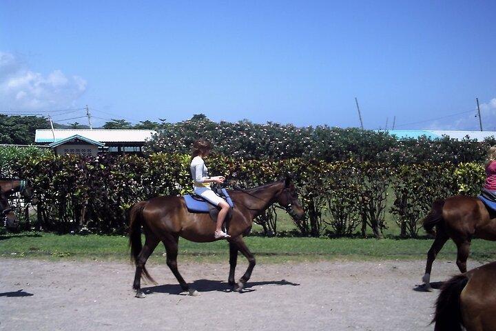 Excursión privada a caballo, Blue Hole, Dunn's River, rafting y tubing