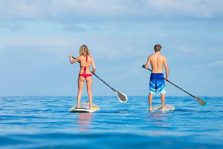 Excursions en kayak et Ocean Sup