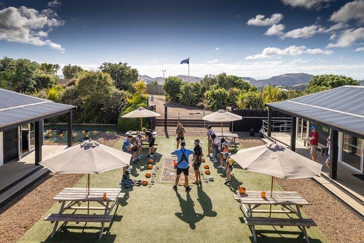 Waiheke Island: Zipline og skovvandring