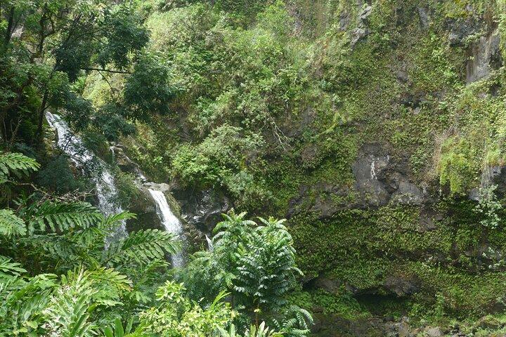 PRIVATE Road to Hana Tour