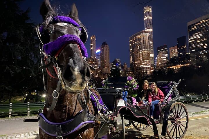 NYC Central Park & Rockefeller Center Private Horse Carriage Tour