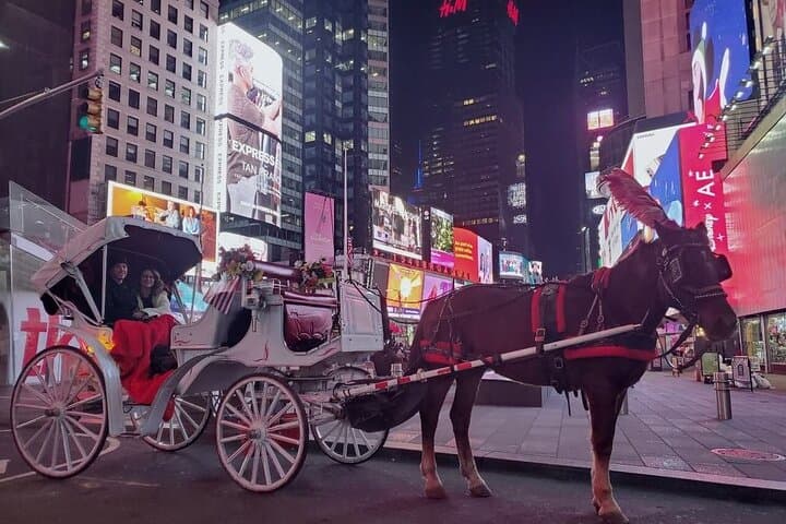 NYC Central Park & Rockefeller Center Private Horse Carriage Tour