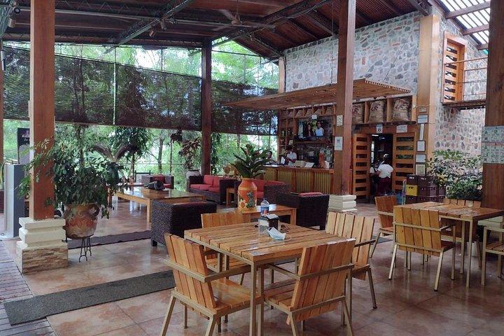 Tour de café y aguas termales.