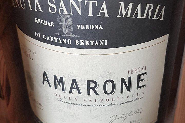 Private Amarone & Valpolicella Weintour ab Venedig