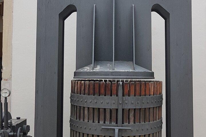 Private Amarone & Valpolicella Weintour ab Venedig