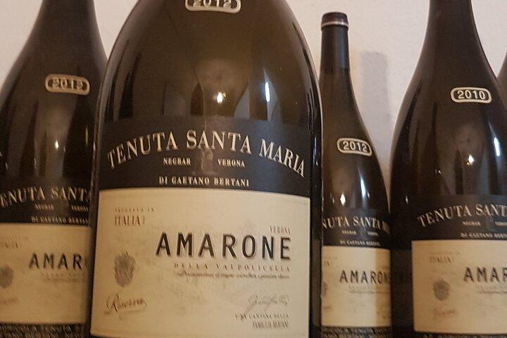 Private Amarone & Valpolicella Weintour ab Venedig
