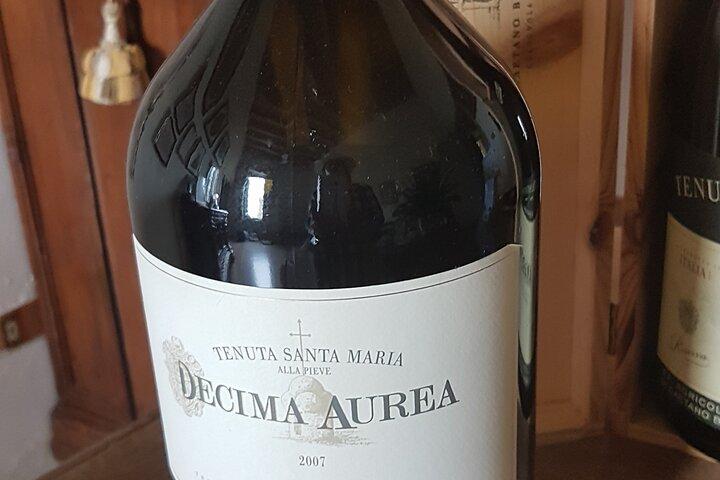 Private Amarone & Valpolicella Weintour ab Venedig