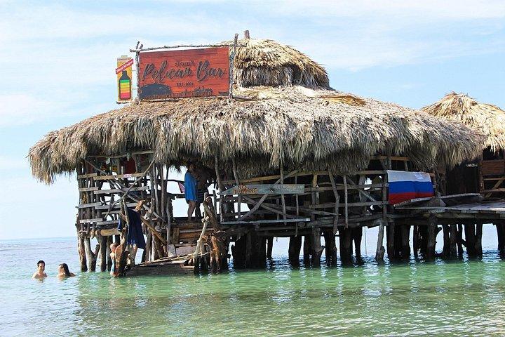 カリブ海にあるフロイドのペリカンバー