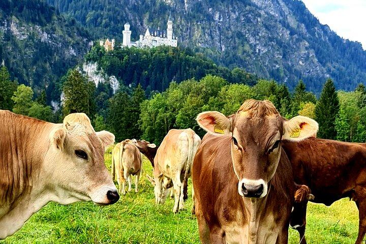 Castello di Neuschwanstein, Oberammergau Tour privato da Monaco di Baviera