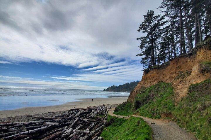 Volledige dag begeleide Oregon Coast Tour vanuit Portland