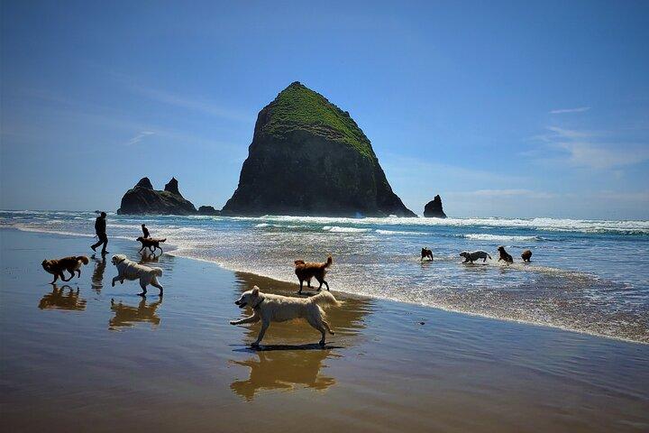 Volledige dag begeleide Oregon Coast Tour vanuit Portland