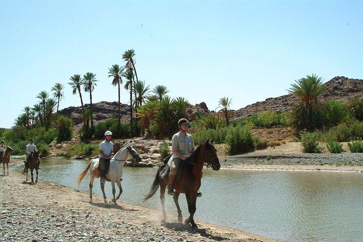 In Marrakesch :Horses ride experience