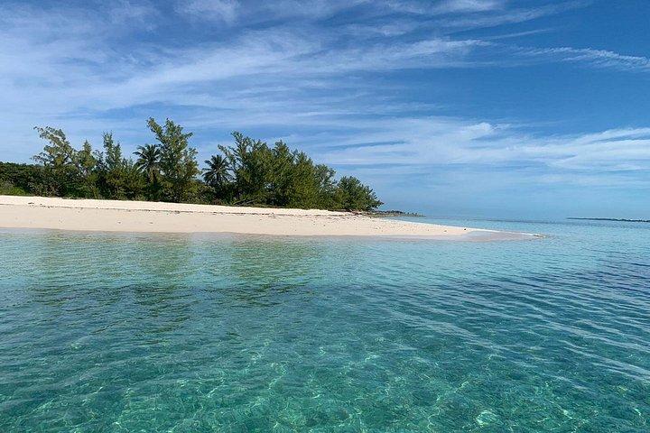 Private Island Hopping Boat Tour and view the Turtles