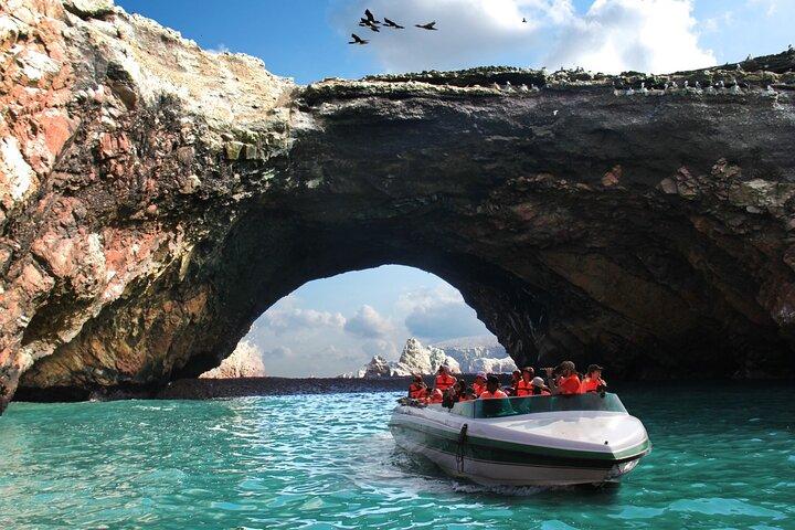 3 Day Tour From Lima: Paracas, Huacachina Oasis & Pisco Vineyard