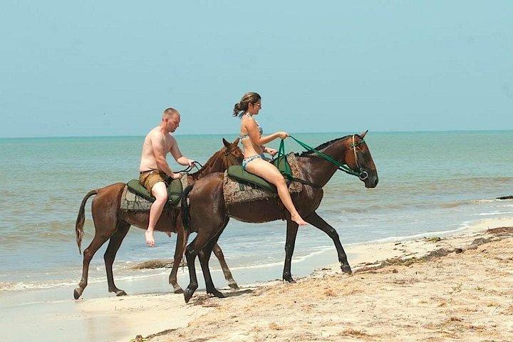 乗馬とブルーホール、オチョリオスまたは川のチューブ
