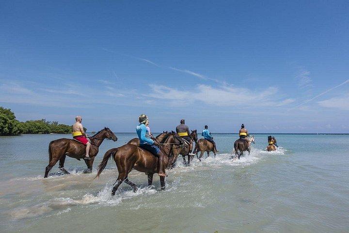 乗馬とブルーホール、オチョリオスまたは川のチューブ