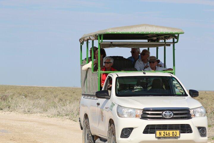 Safari nel parco nazionale di Etosha con guide turistiche professionali nate a Etosha.