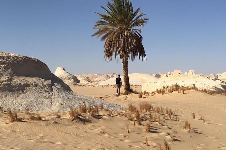 2-Day Camping Trip to White and Black Desert from Cairo and Giza