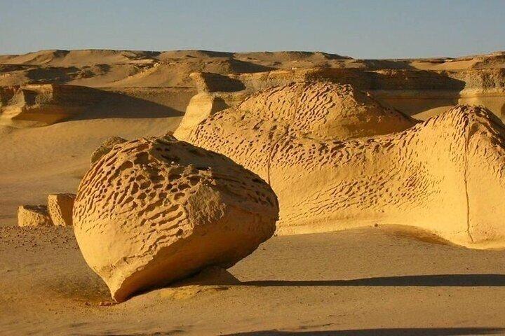 Dagstur till El Fayoum Oasis från Kairo och Giza