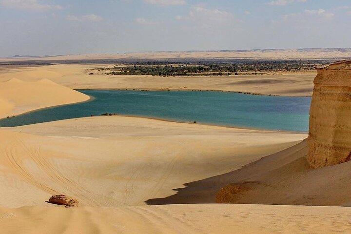 Dagstur till El Fayoum Oasis från Kairo och Giza