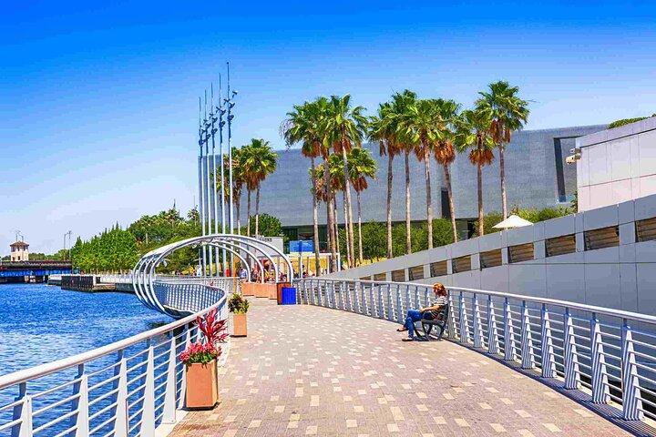 Afgang Privat Transfer: Tampa City til Tampa Lufthavn TPA i luksus SUV
