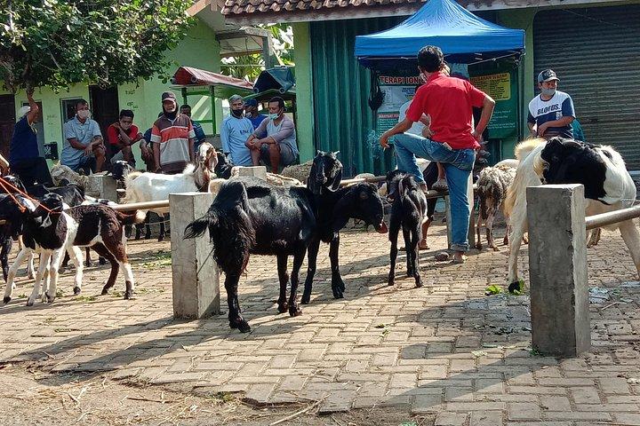 Cycling Village Tour Kulonprogo